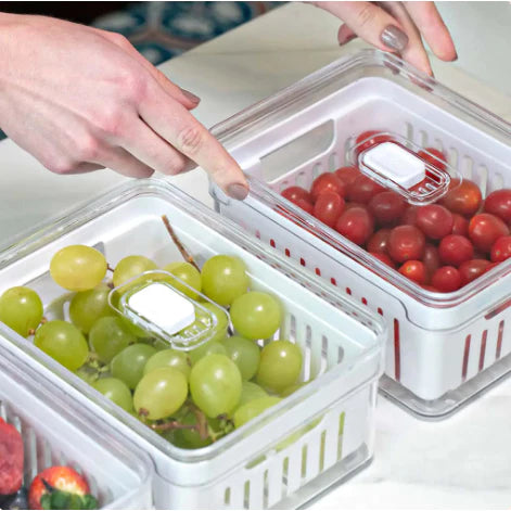 Organizador de Geladeira 1,4L Com Tampa e Cesto Drenagem Multiuso Alimentos Verduras Vegetais