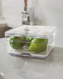 Organizador de Geladeira 1,4L Com Tampa e Grade Drenagem Multiuso Alimentos Verduras Vegetais