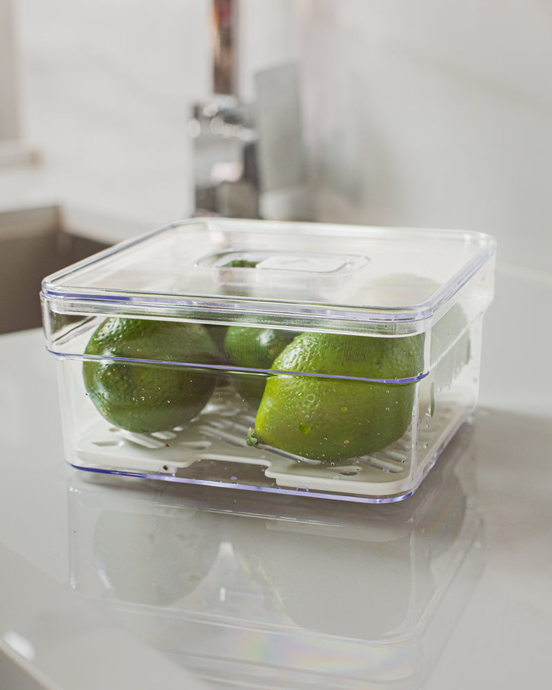 Organizador de Geladeira 1,4L Com Tampa e Grade Drenagem Multiuso Alimentos Verduras Vegetais